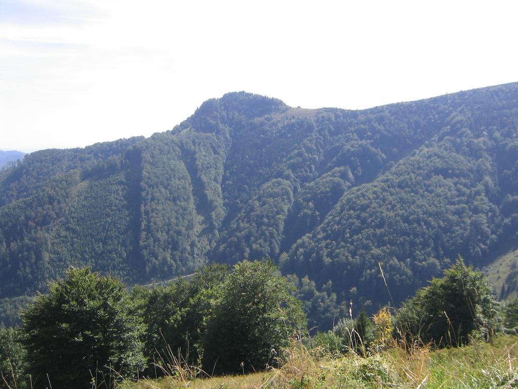 Apartmány Mammut a Yetti-Šafran Donovaly Esterno foto